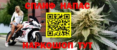 гидропоника Партизанск