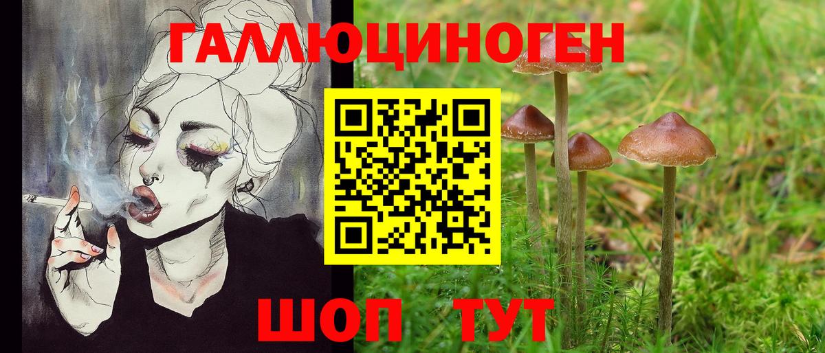 Галлюциногенные грибы Magic Shrooms  Псилоцибиновые грибы прущие грибы  Фролово  Вход с VPN 
